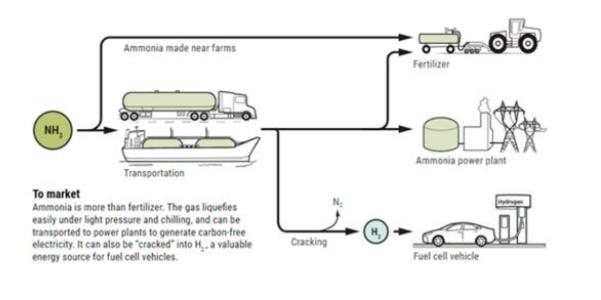合成氨成為氫能的一艘“諾亞方舟”！(圖1)